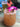 Balloon dog beverage mixer being used in a cocktail